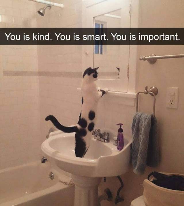 A Hilarious Insight Into The Real Lives Of Animals Via Snapchat