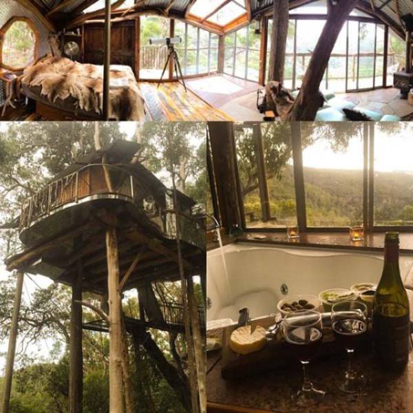 Everything Is Much Better When You Live In A Forest So High Above The Ground