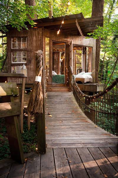 Everything Is Much Better When You Live In A Forest So High Above The Ground