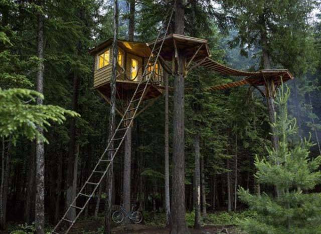 Everything Is Much Better When You Live In A Forest So High Above The Ground
