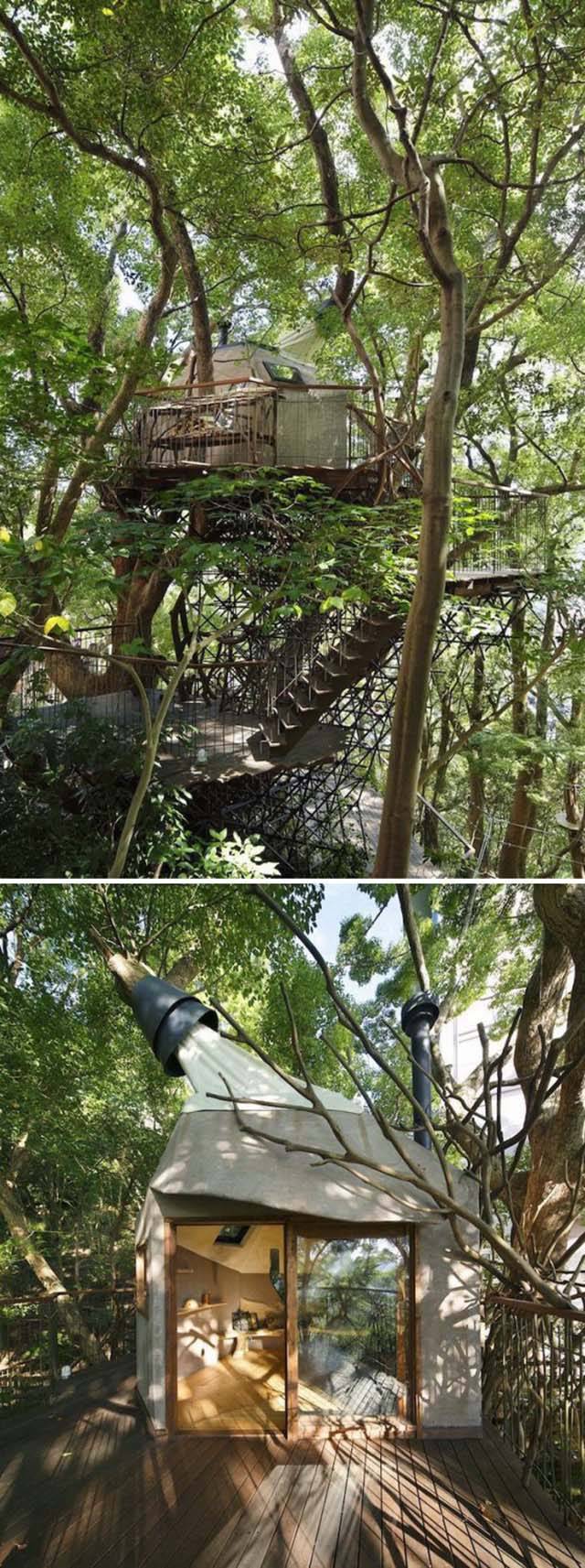 Everything Is Much Better When You Live In A Forest So High Above The Ground