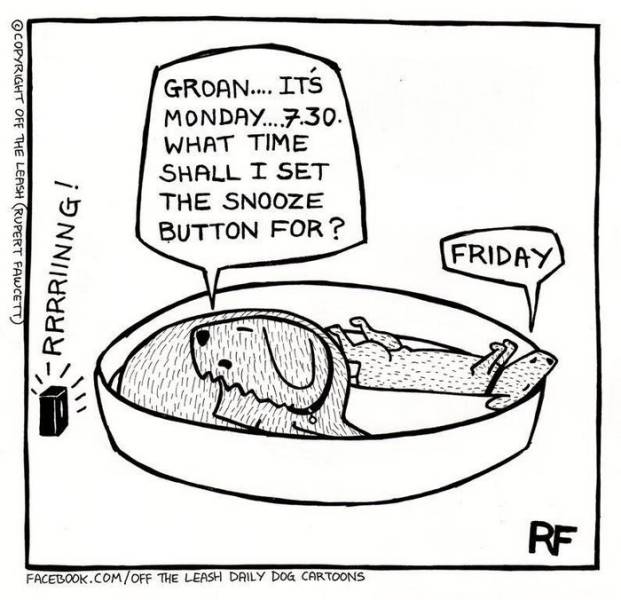 You Can Almost Feel The Truth Of Living With A Dog Through These Comics