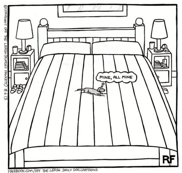 You Can Almost Feel The Truth Of Living With A Dog Through These Comics You Can Almost Feel The Truth Of Living With A Dog Through These Comics