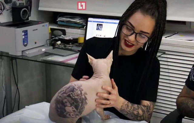 Tattoo Artist Decided It Would Be A Nice Idea To Tattoo His Sphynx Cat, And Internet Is Furious About It
