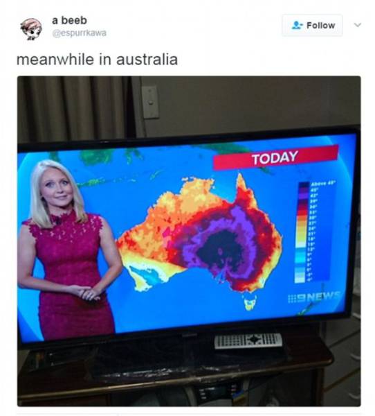 Australia Struggles Against The Heat With Their Last Weapon – Humor