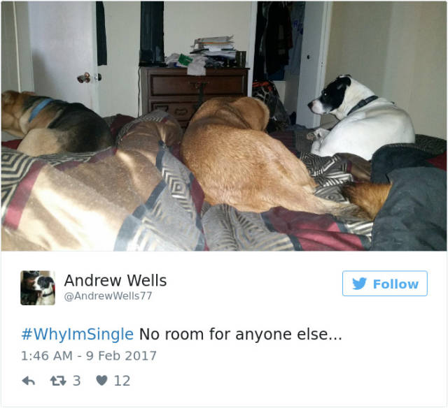 Funny And Bitter Loneliness Fills The Internet On Valentine’s Day