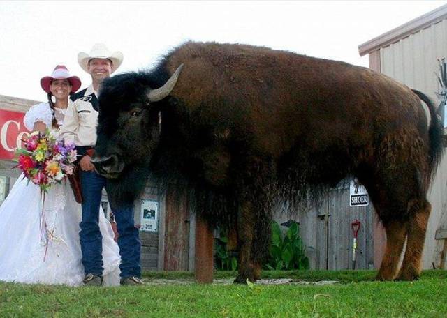 The Thing Is – This Pet Is Not Even The Strangest Thing Texas Has To Offer