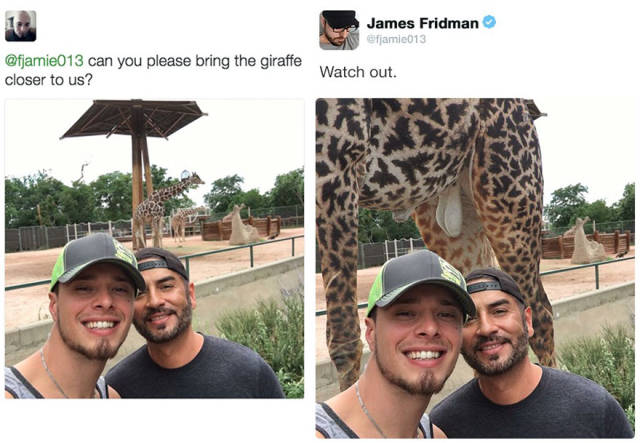 James Fridman Destroys Some More Narcissists With His Photoshop Wonders