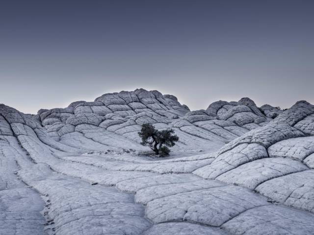 Sony World Photography Awards Made Their Shortlist And The Photos Are Stunning!