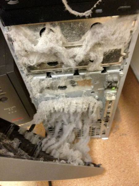 Tech Support Workers Wake Up In Cold Sweat After Seeing These