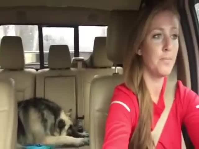 This Is The Most Adorable Singing Duet Ever!