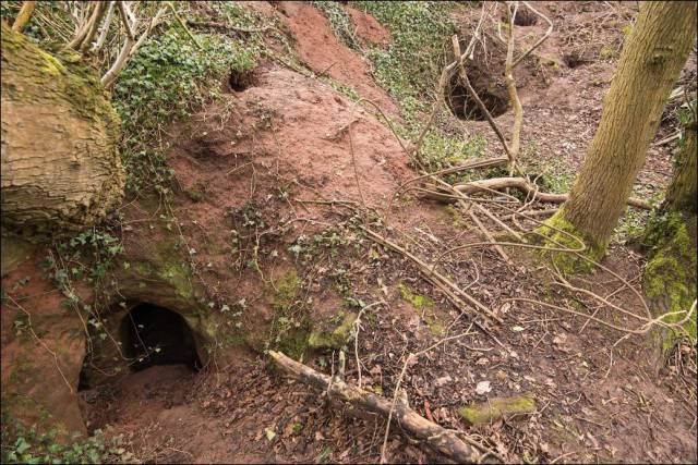 This Rabbit Hole Appeared To Be A Portal 700 Years Into The Past!