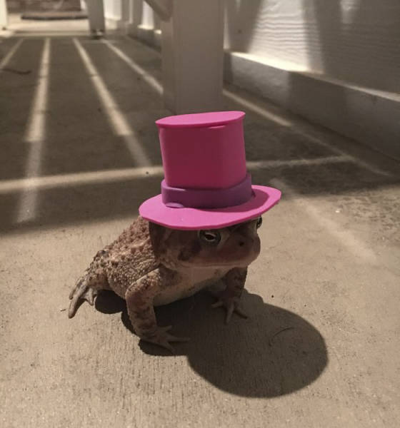 Toad Fashion Is A Real Thing Now!