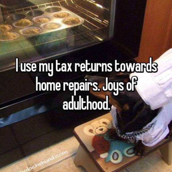 Tax Returns Is The Only Thing No One Has Ever Spent Wisely