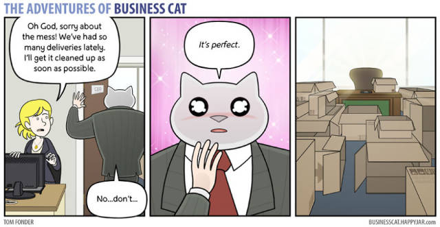 Everyone Needs A Cat Boss Sometimes…