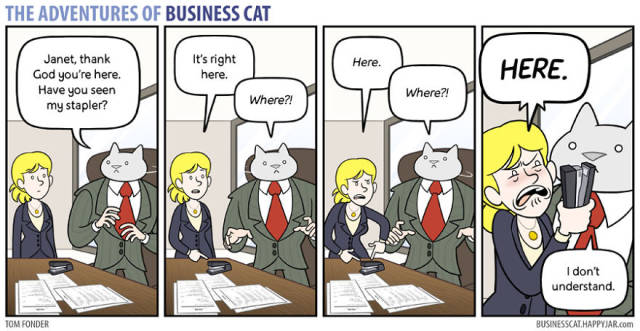 Everyone Needs A Cat Boss Sometimes…