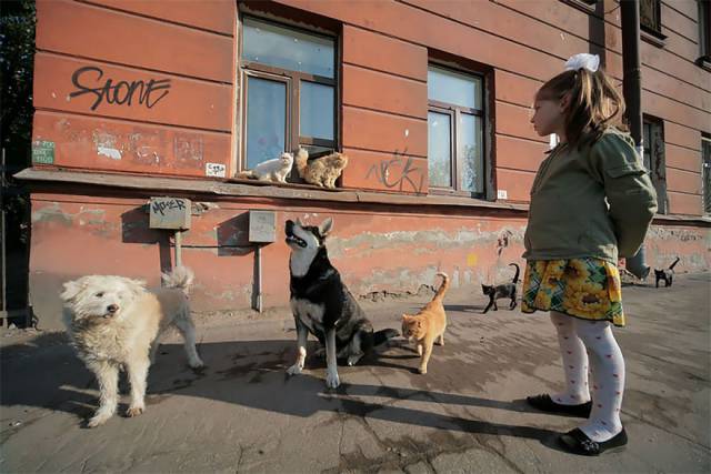 Brutal Honesty About Russian Everyday Life Depicted By Russian Street Photographer Alexander Petrosyan