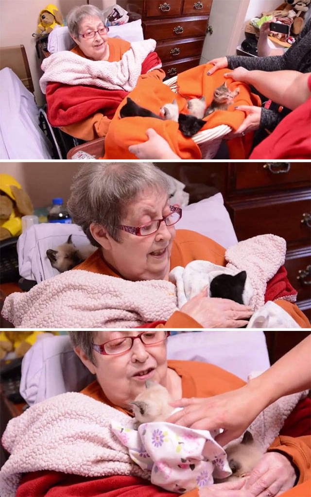 These Last Wishes Being Fulfilled Is The Most Touching Thing Ever