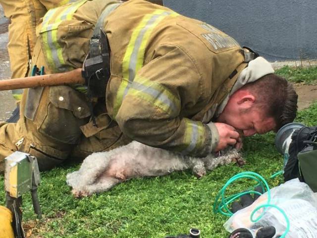 This Californian Firefighter Proves That His Destiny Is Saving Each And Every Life He Can