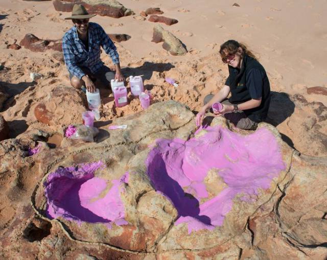 One More Mystery Of The Prehistoric Times Uncovered In Australia