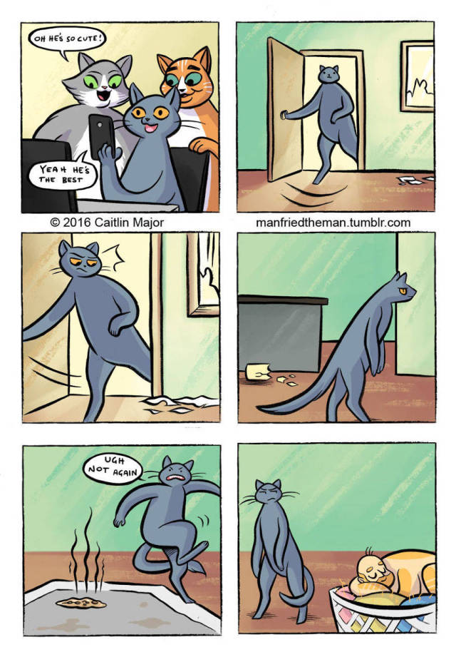 What If Humans Swapped Roles With Their Cat Pets?