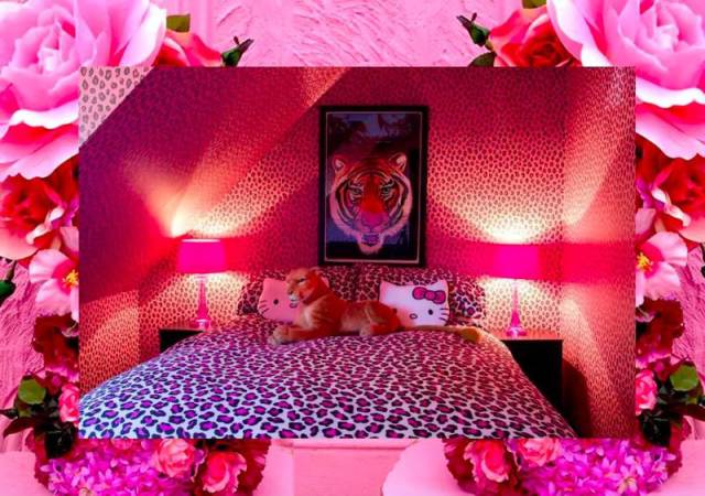 Bring Your Love For Pink Color To Ultimate Levels With This House