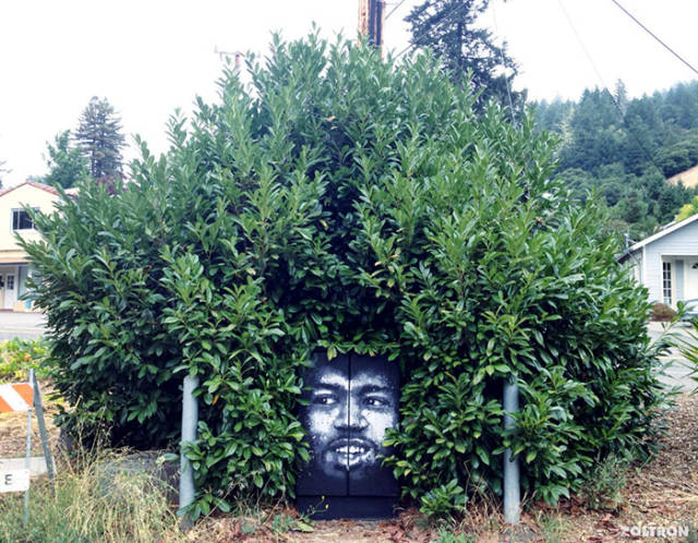 When Nature And Street Art Go Hand In Hand