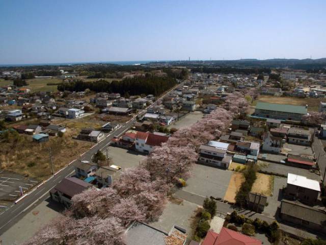 Alienated Fukushima After Its Nuclear Disaster