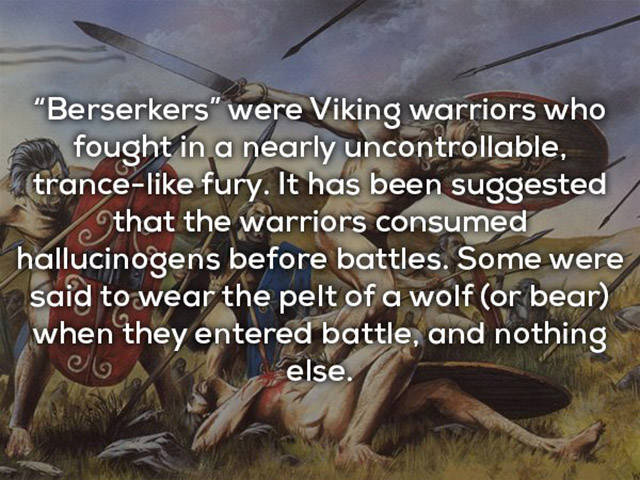 You Hadn’t Learned These Things About Vikings In School