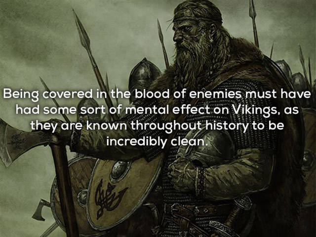 You Hadn’t Learned These Things About Vikings In School