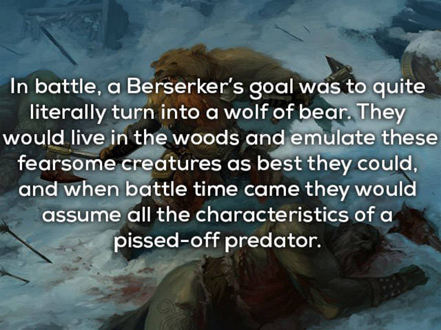 You Hadn’t Learned These Things About Vikings In School