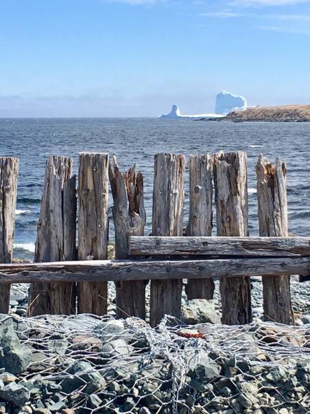 Icebergs Are Now A Thing To See – Especially If There Is An Alley Of Icebergs