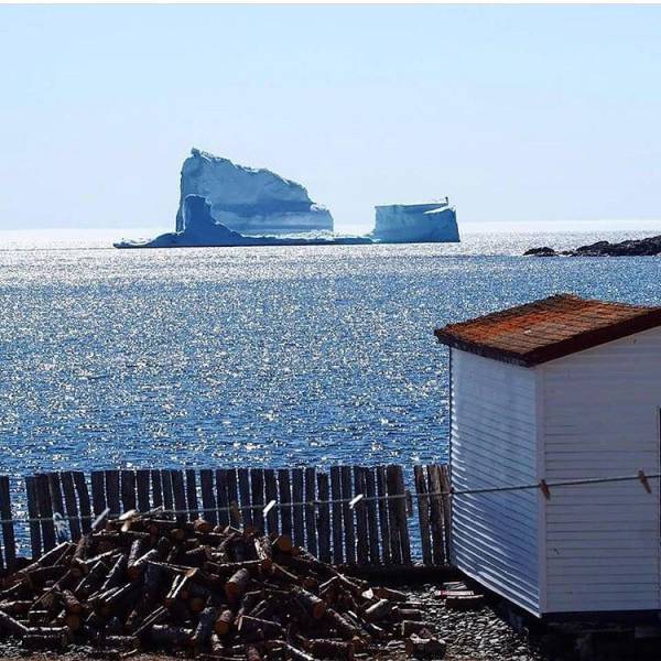 Icebergs Are Now A Thing To See – Especially If There Is An Alley Of Icebergs