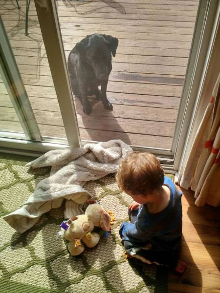 Kids Are The Worst Babysitters For Pets