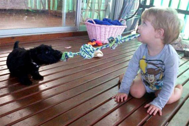 Kids Are The Worst Babysitters For Pets