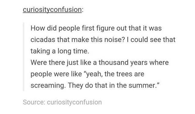 Tumblr Humor Warriors Are Doing Their Best
