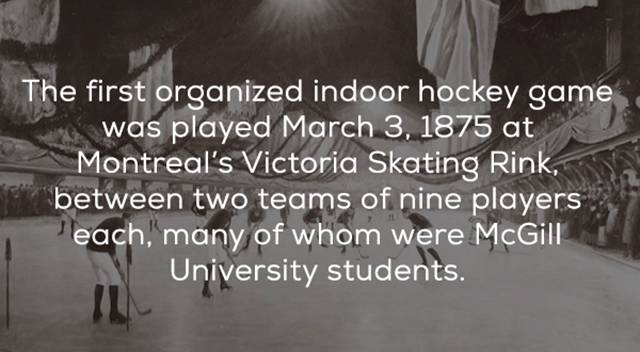 Well, Of Course You Need Some Hockey Facts!
