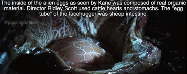 These Facts About “Alien” Are Just As Unnerving As The Movie Itself