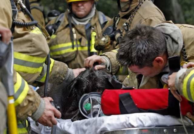 Firefighters Know That Each And Every Life Matters!
