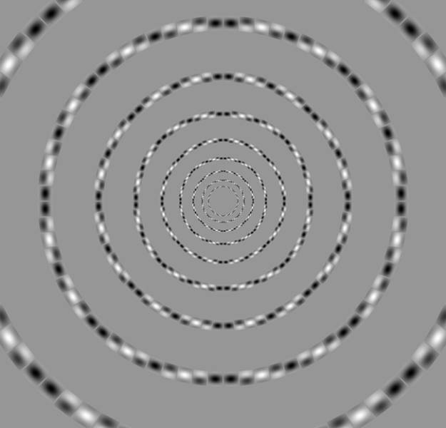 These Optical Illusions Will Blow Your Brain And Your Eyes