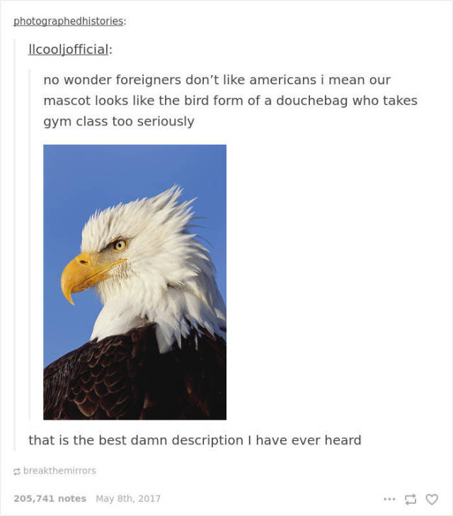 It’s Just Impossible Not To Mock Murica!