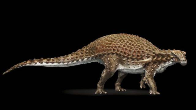 The Most Insanely Lifelike Dinosaur Fossil Can Be Seen By Everyone Now!
