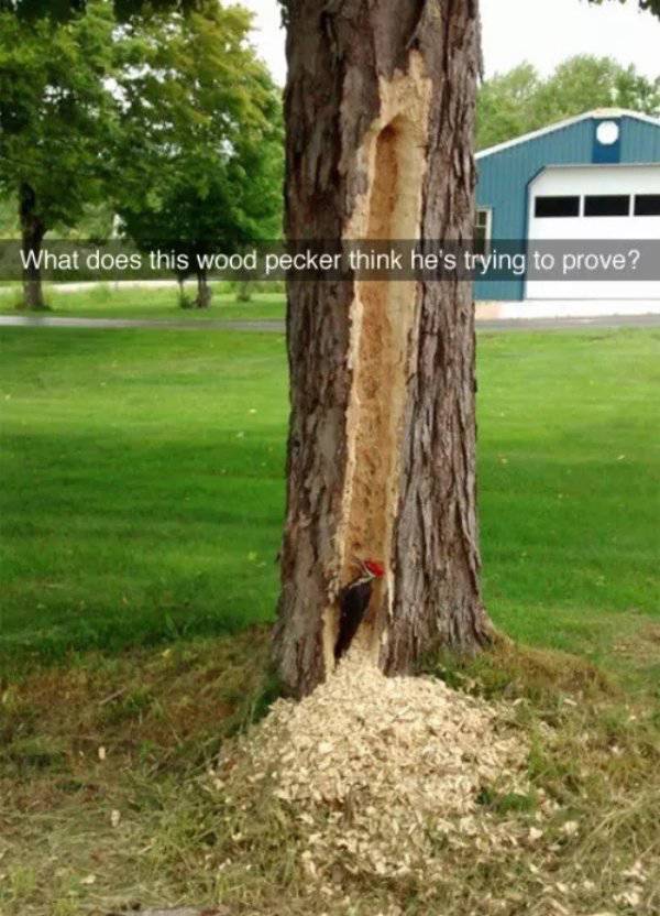 Snapchat Becomes The Pinnacle Of Humor When Used Properly