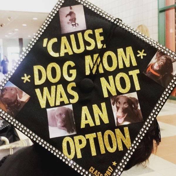 These Graduation Caps Deserve To Fly Very High