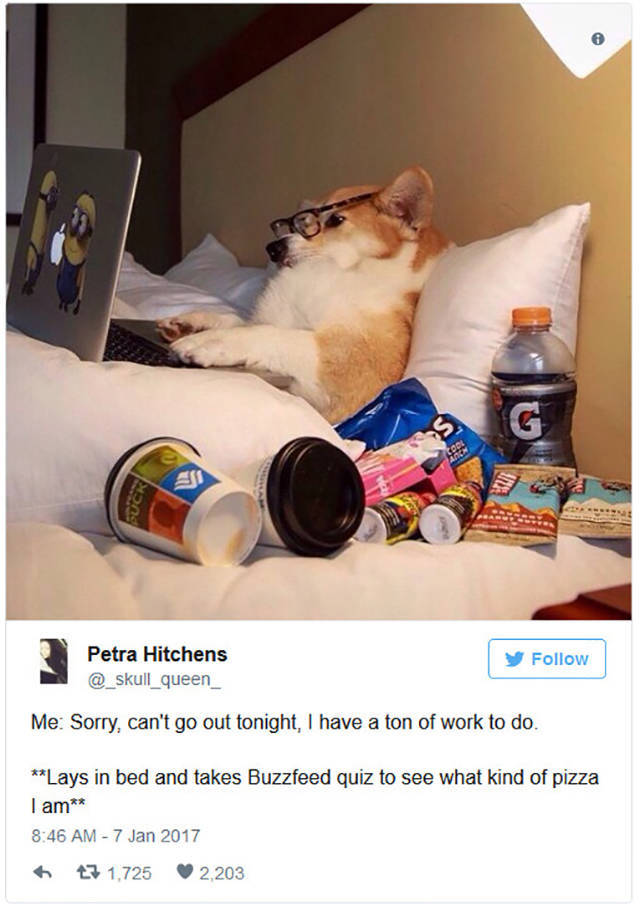 These Memes Reveal The Nature Of Those People Who Are Secretly Lazy And Introverted Bums