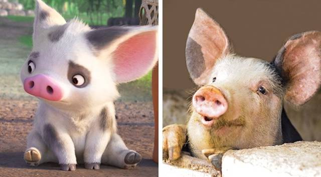 Even Animals From Cartoons Have Their Real-Life Prototypes!