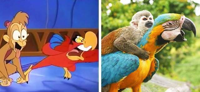 Even Animals From Cartoons Have Their Real-Life Prototypes!