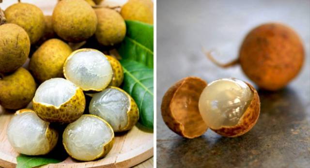 These Fruits Are So Exotic, Almost Nobody Knows About Them