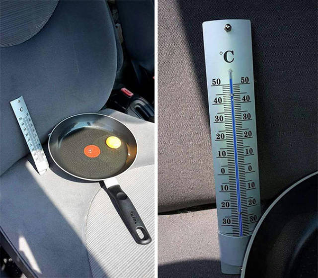 This Is Why You Should NEVER Leave Your Dog In Your Car While It’s Hot Outside!