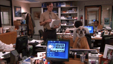 Pranks On Dwight Is What “The Office” Is Worth Watching For